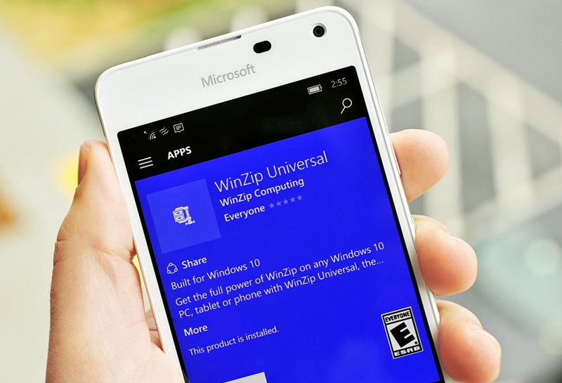 winzip Windows 10